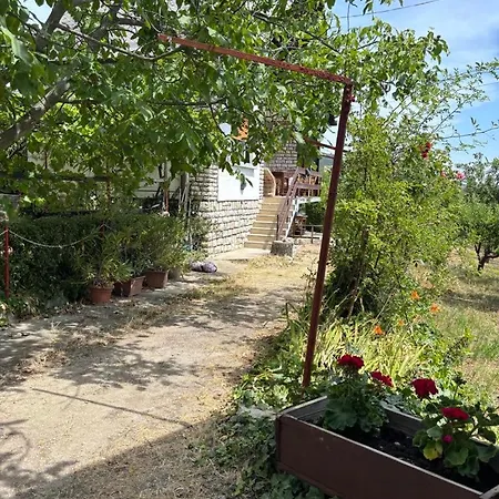 Szolovirag Vendeghaz Сasa de vacaciones