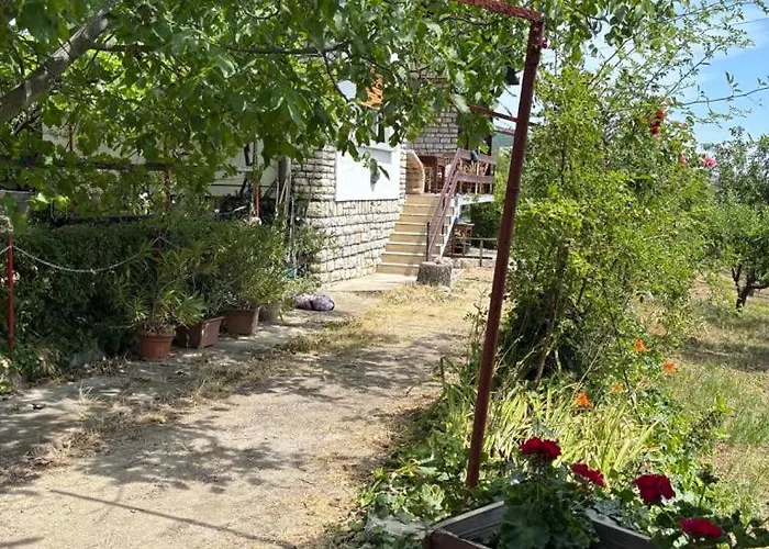 Szolovirag Vendeghaz Case de vacanță